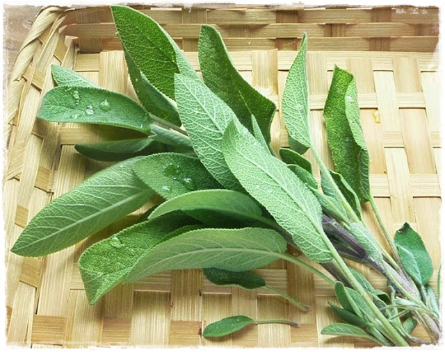 cooking-with-sage